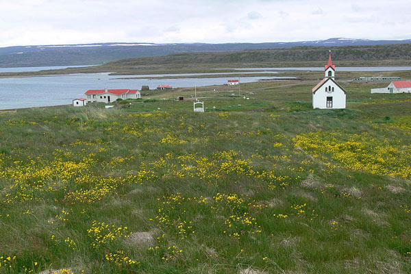 Vansfjordur rezerwat przyrody Islandia