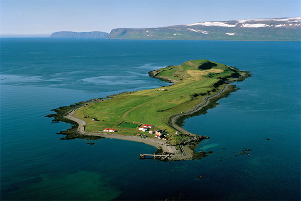 wyspa Vigur - wyspa ptaków na Islandii